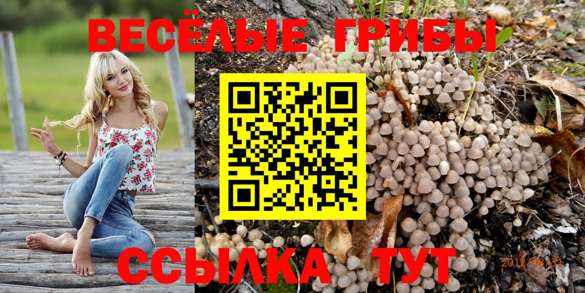 Архангельск  Галлюциногенные грибы мухоморы  Вход с VPN 